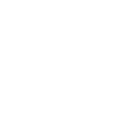 Federasyon